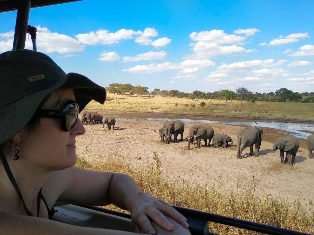 Mejor época para viajar a Kenia y hacer un safari
