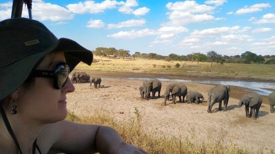 Mejor época para viajar a Kenia y hacer un safari