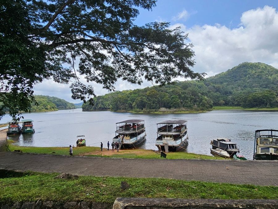 Que ver en el Parque Nacional de Periyar en Thekkady