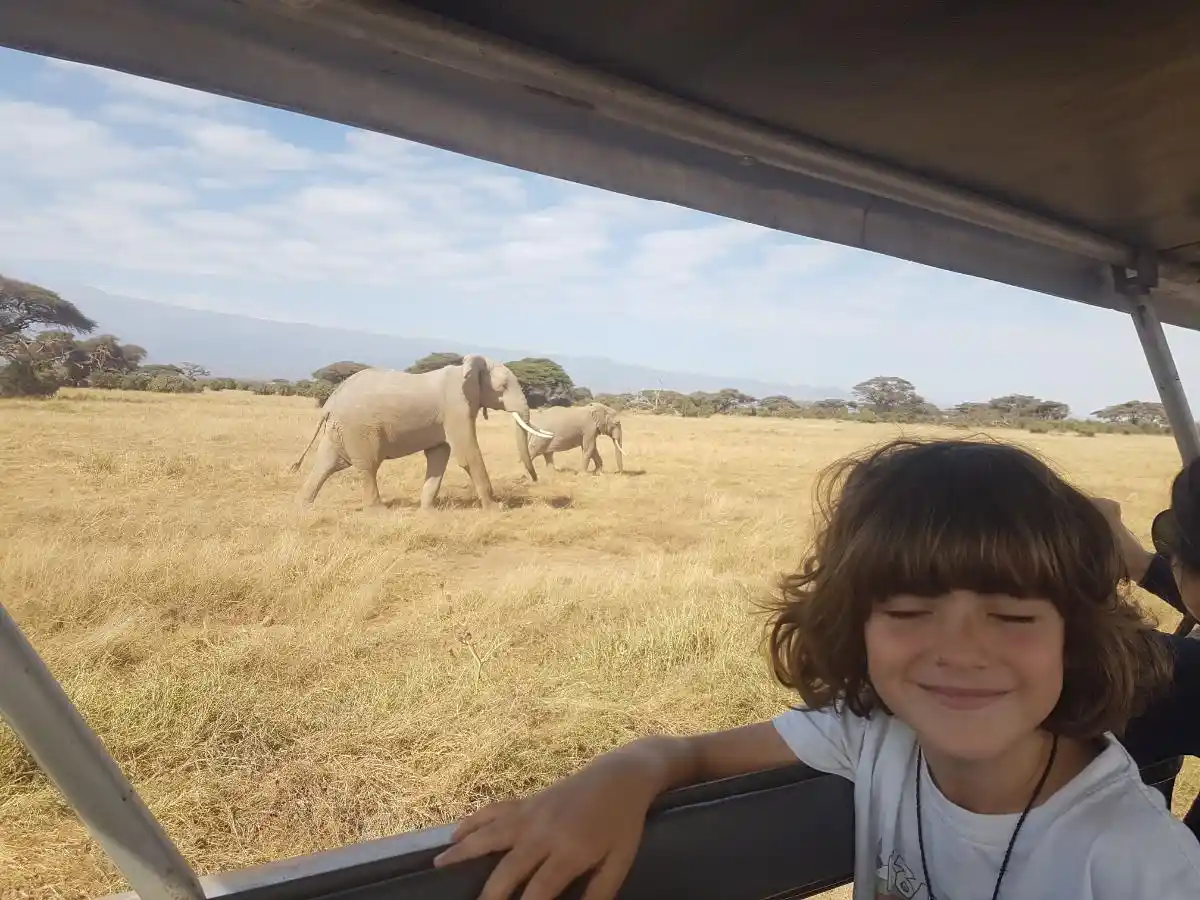 20180808_094043 Mi hijo haciendo safari en África con elefantes de fondo