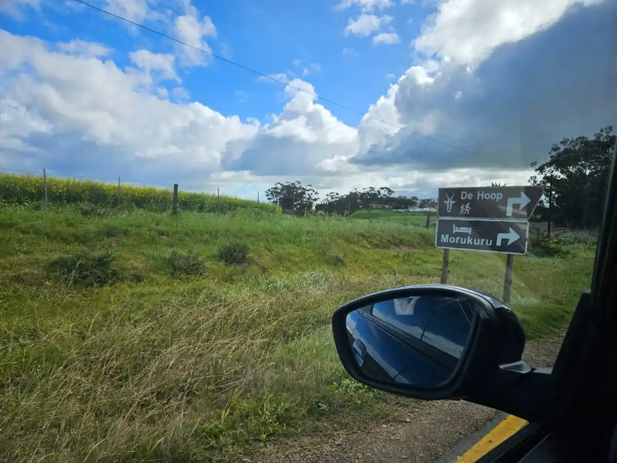 Carretera a De Hoop, durante un viaje por la Garden Route en Sudáfrica