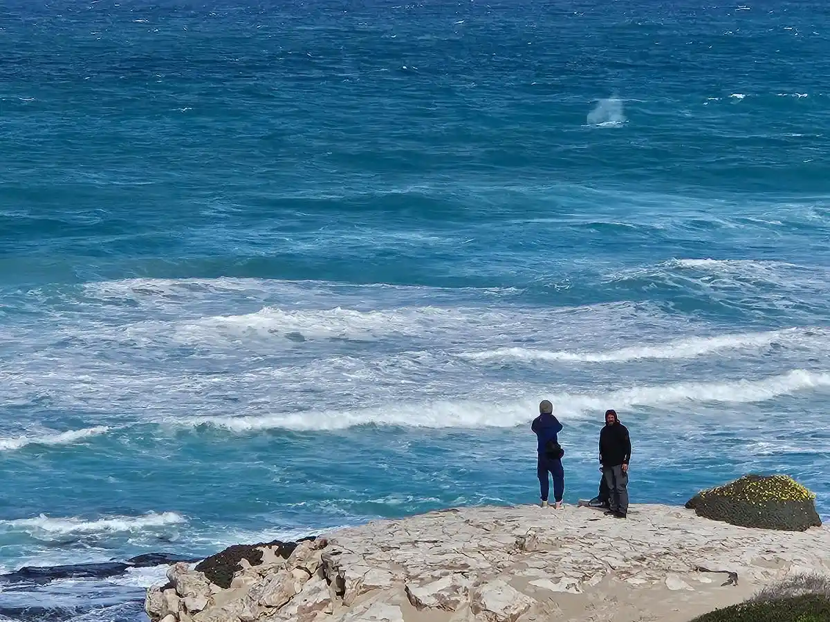 Observando a las ballenas saltar en De Hoop, durante nuestro viaje familiare con niños a Sudafrica