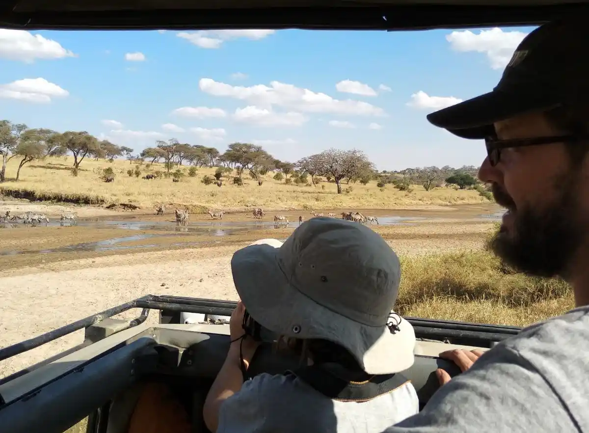 IMG_20180810_1558511 Mi hijo mirando los animales durante un safari familiar en África