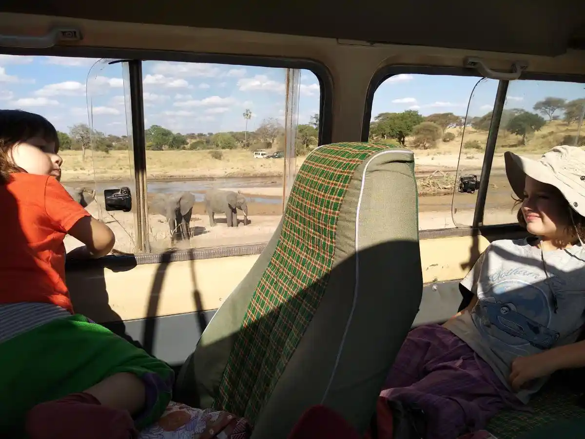 IMG_20180810_161125 Niños haciendo un safari en África con elefantes al fonto