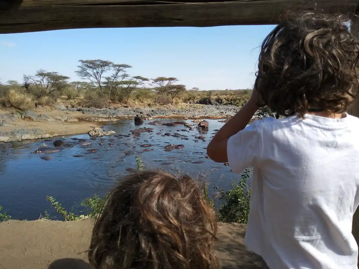 IMG_20180813_094708 Niños viendo hipopótamos durante un safari familiar en África