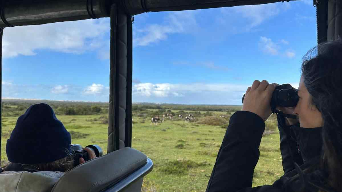 Que ver en De Hoop durante un Nature Drive en familia. Familia haciendo safari en África